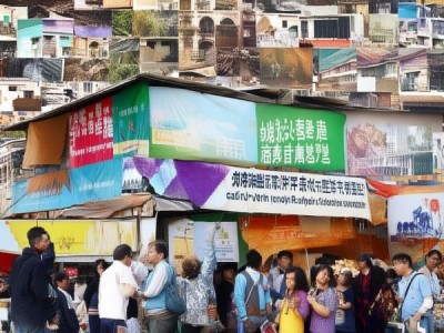 Exploring the Market Potential of东方信息咨询服务在 peg-Developing Regions:A Deep Dive into沂水县